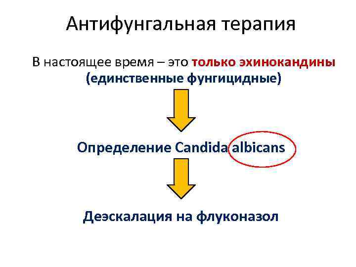 Антифунгальная терапия В настоящее время – это только эхинокандины (единственные фунгицидные) Определение Candida albicans