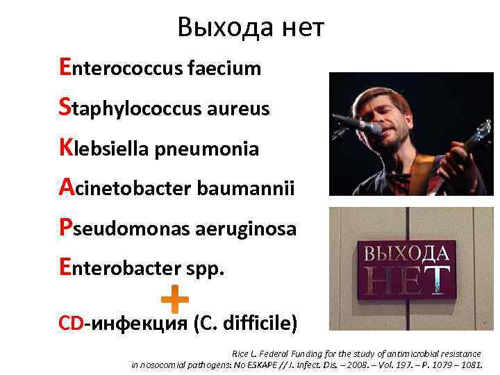 Выхода нет Enterococcus faecium Staphylococcus aureus Klebsiella pneumonia Acinetobacter baumannii Pseudomonas aeruginosa Enterobacter spp.