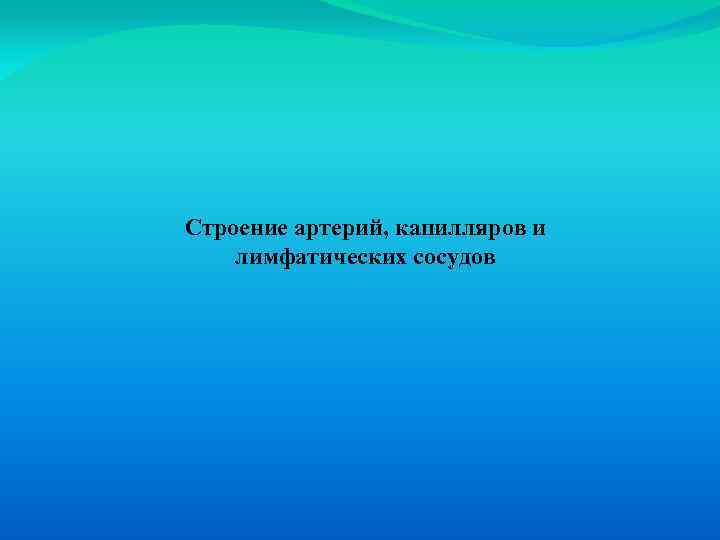 Строение артерий, капилляров и лимфатических сосудов 