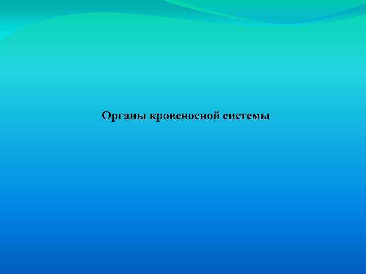 Органы кровеносной системы 