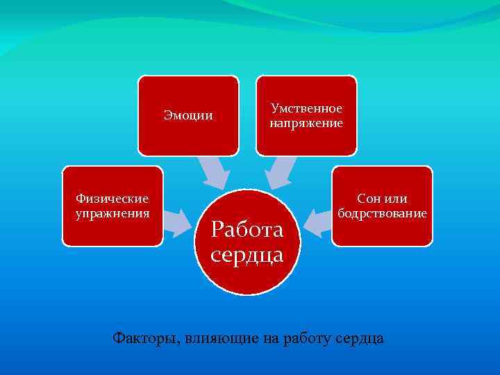 Эмоции Физические упражнения Умственное напряжение Работа сердца Сон или бодрствование Факторы, влияющие на работу