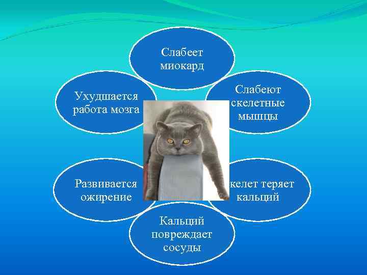 Слабеет миокард Ухудшается работа мозга Слабеют скелетные мышцы Развивается ожирение Скелет теряет кальций Кальций