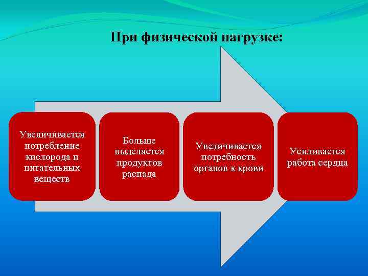 При физической нагрузке: Увеличивается потребление кислорода и питательных веществ Больше выделяется продуктов распада Увеличивается
