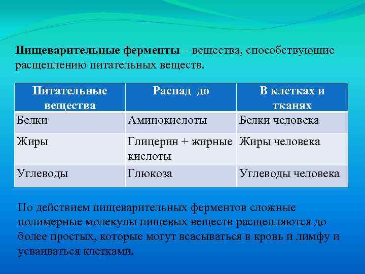 Пищеварительные ферменты – вещества, способствующие расщеплению питательных веществ. Питательные вещества Белки Жиры Углеводы Распад