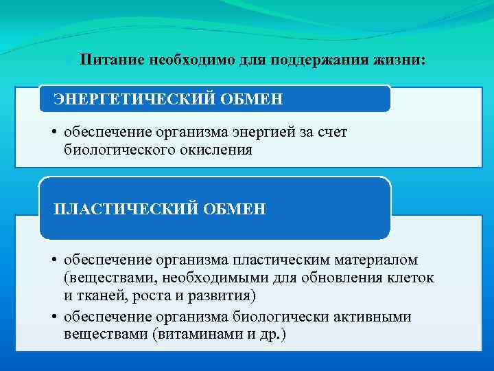  Питание необходимо для поддержания жизни: ЭНЕРГЕТИЧЕСКИЙ ОБМЕН • обеспечение организма энергией за счет