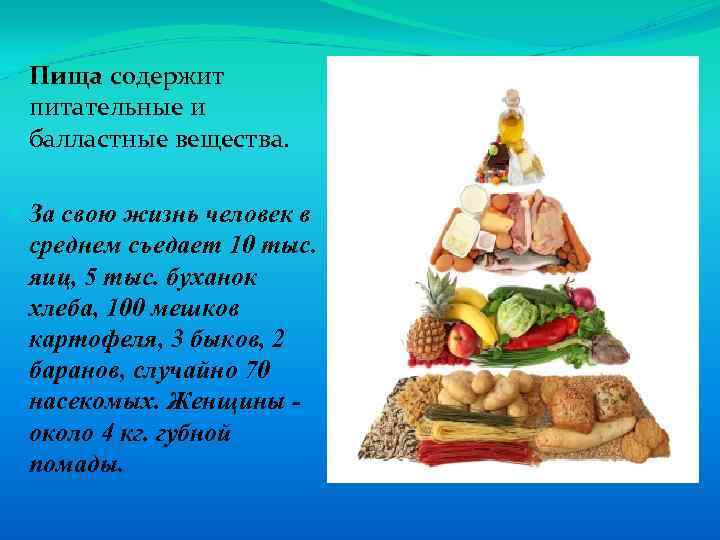  Пища содержит питательные и балластные вещества. За свою жизнь человек в среднем съедает