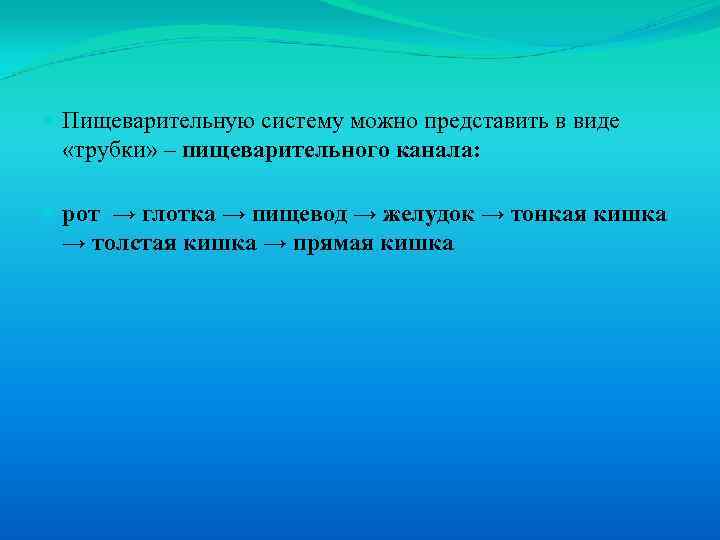  Пищеварительную систему можно представить в виде «трубки» – пищеварительного канала: рот → глотка