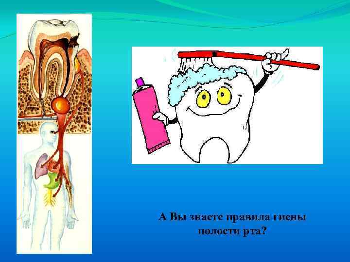 А Вы знаете правила гиены полости рта? 