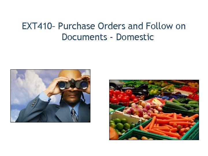 EXT 410– Purchase Orders and Follow on Documents - Domestic 