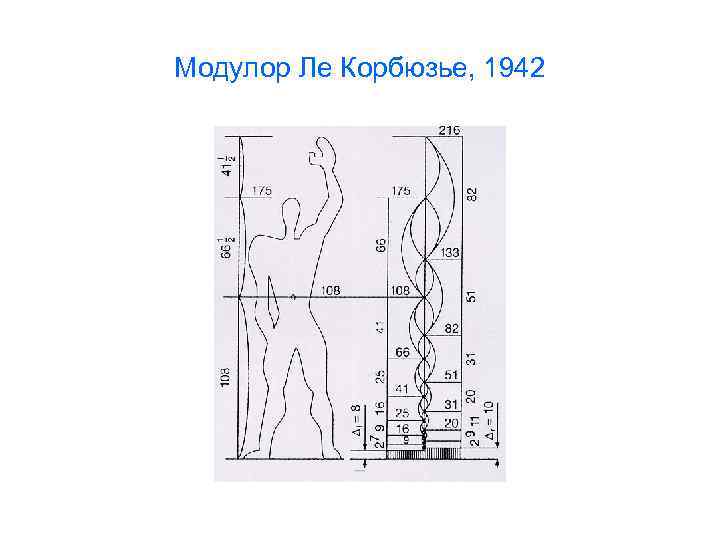 Модулор Ле Корбюзье, 1942 