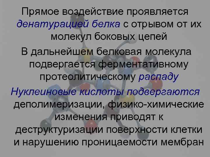 Прямое воздействие проявляется денатурацией белка с отрывом от их молекул боковых цепей В дальнейшем