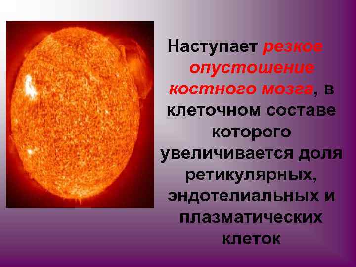 Наступает резкое опустошение костного мозга, в клеточном составе которого увеличивается доля ретикулярных, эндотелиальных и