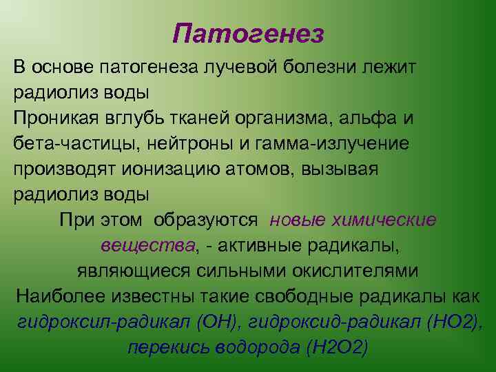 Патогенез В основе патогенеза лучевой болезни лежит радиолиз воды Проникая вглубь тканей организма, альфа