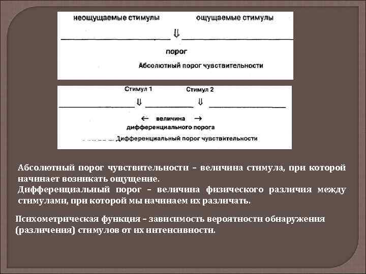 Абсолютный порог чувствительности – величина стимула, при которой начинает возникать ощущение. Дифференциальный порог –