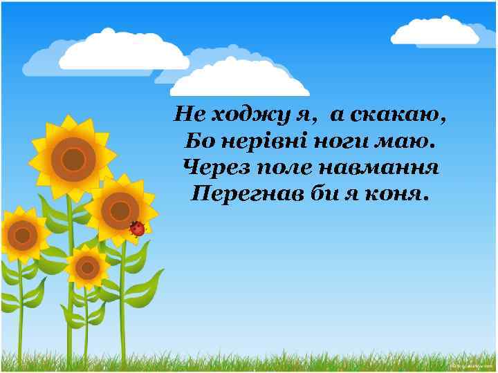 Не ходжу я, а скакаю, Бо нерівні ноги маю. Через поле навмання Перегнав би