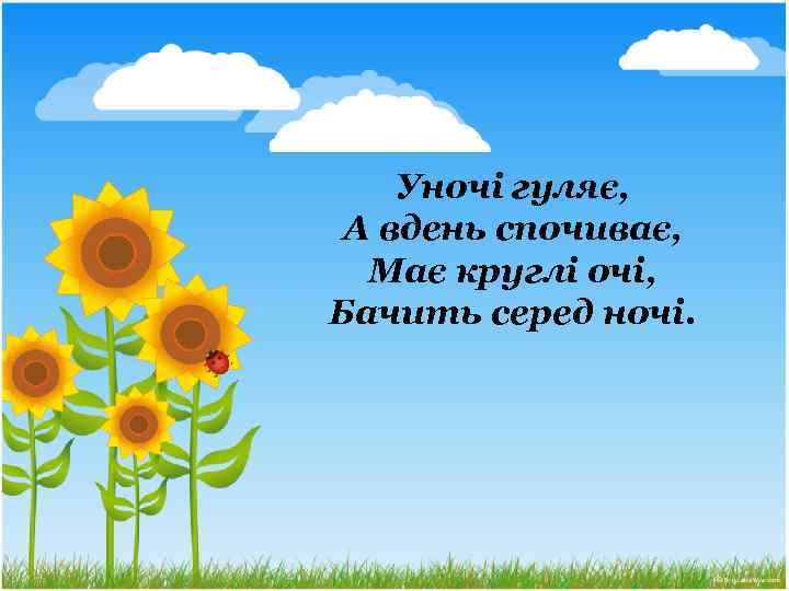 Уночі гуляє, А вдень спочиває, Має круглі очі, Бачить серед ночі. 