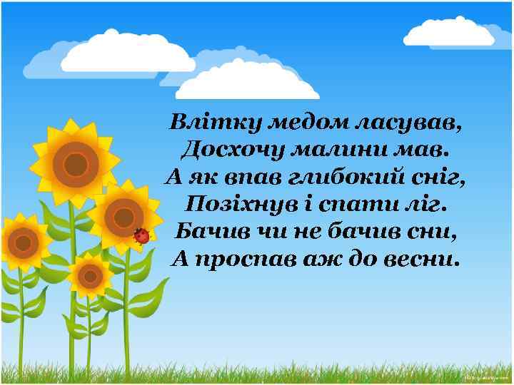 Влітку медом ласував, Досхочу малини мав. А як впав глибокий сніг, Позіхнув і спати