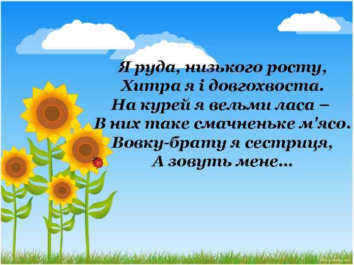 Я руда, низького росту, Хитра я і довгохвоста. На курей я вельми ласа –