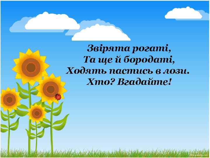 Звірята рогаті, Та ще й бородаті, Ходять пастись в лози. Хто? Вгадайте! 