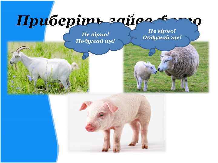 Приберіть зайве фото Не вірно! Подумай ще! 