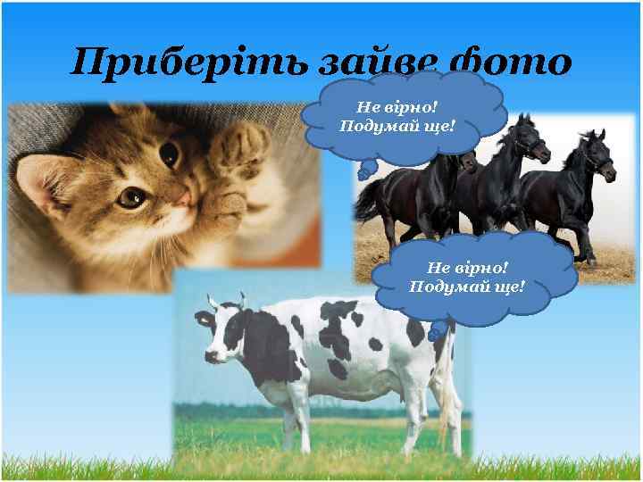 Приберіть зайве фото Не вірно! Подумай ще! 