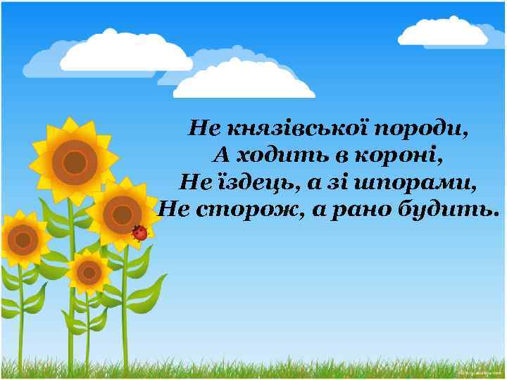 Не князівської породи, А ходить в короні, Не їздець, а зі шпорами, Не сторож,