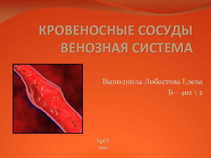 КРОВЕНОСНЫЕ СОСУДЫ ВЕНОЗНАЯ СИСТЕМА Выполнила Лобастова Елена Б – 402  2 Ур. ГУ