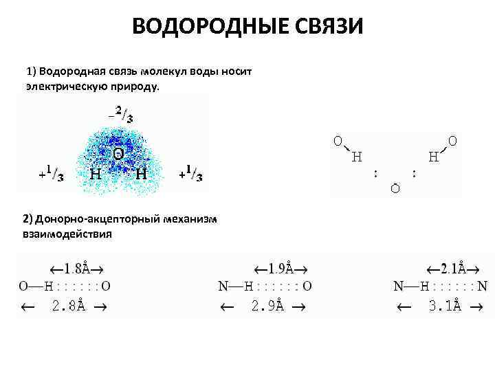 ВОДОРОДНЫЕ СВЯЗИ 1) Водородная связь молекул воды носит электрическую природу. 2) Донорно-акцепторный механизм взаимодействия