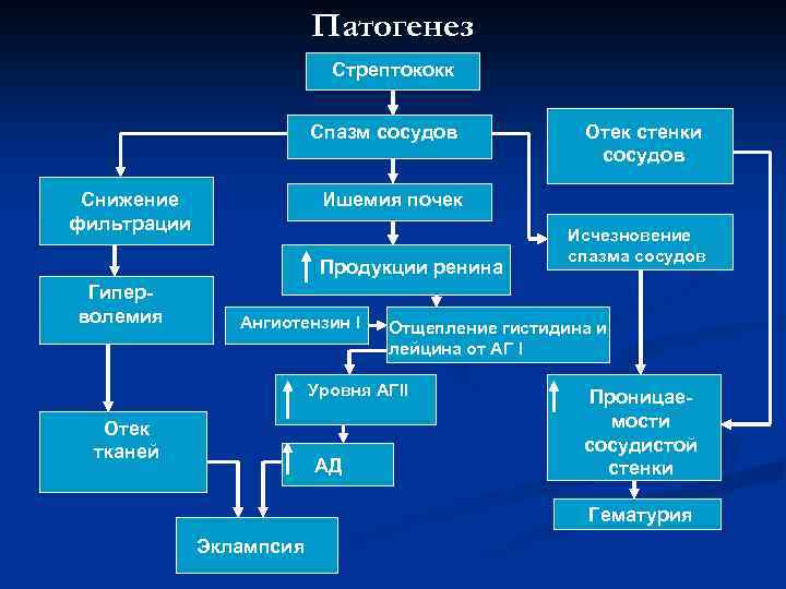 Патогенез Стрептококк Спазм сосудов Снижение фильтрации Ишемия почек Продукции ренина Гиперволемия Отек стенки сосудов