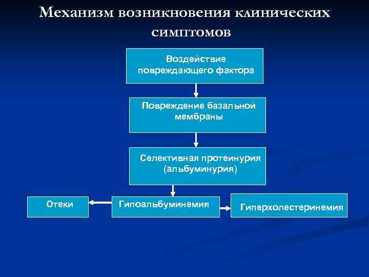 Механизм возникновения клинических симптомов Воздействие повреждающего фактора Повреждение базальной мембраны Селективная протеинурия (альбуминурия) Отеки