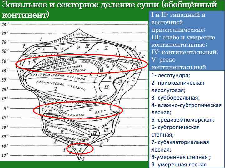 Схема идеального континента