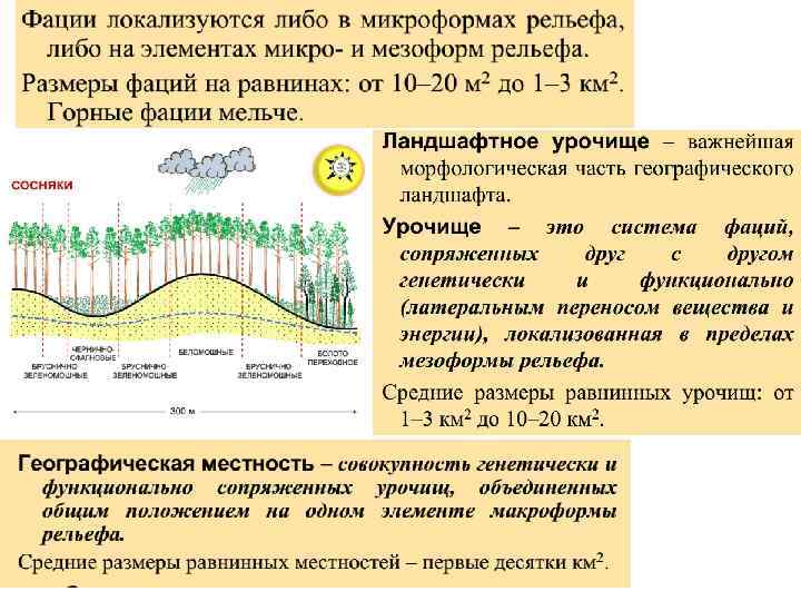 Морфологическая структура ландшафта презентация