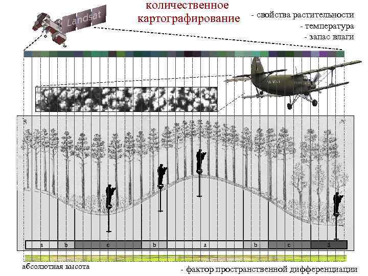количественное картографирование a b абсолютная высота c b a - свойства растительности - температура