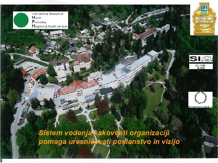 Aliquam vitae lectus sit amet turpis porta auctor. • Nulla mattis mollis magna. •