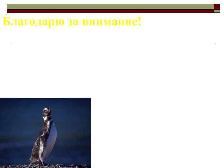 Благодарю за внимание! 