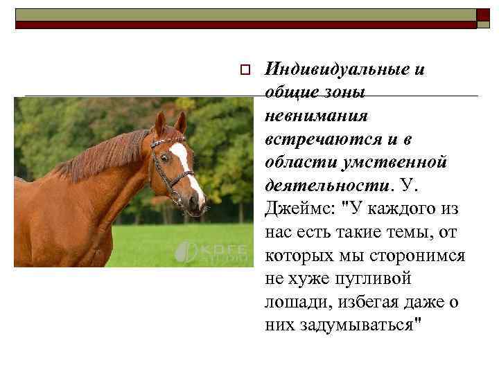 o Индивидуальные и общие зоны невнимания встречаются и в области умственной деятельности. У. Джеймс: