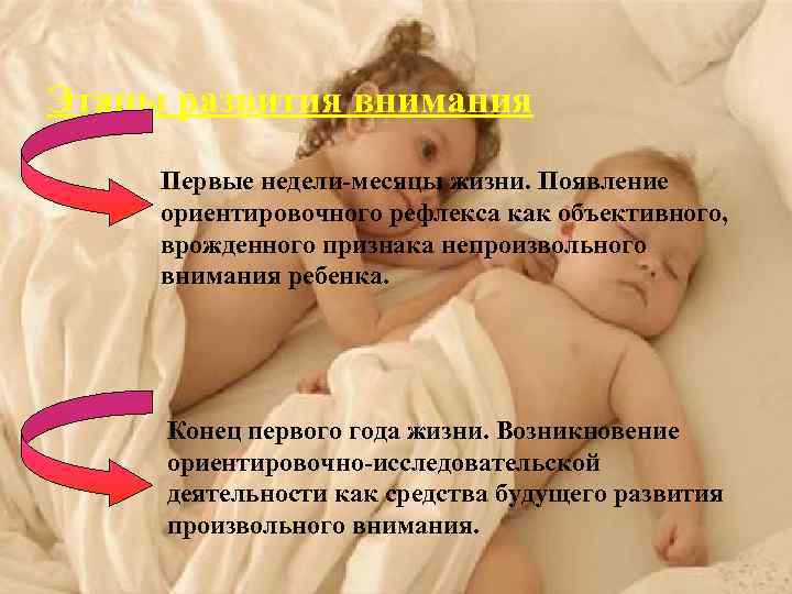 Этапы развития внимания Первые недели-месяцы жизни. Появление ориентировочного рефлекса как объективного, врожденного признака непроизвольного