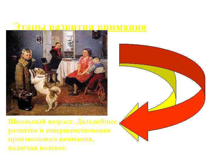 Этапы развития внимания Школьный возраст. Дальнейшее развитие и совершенствование произвольного внимания, включая волевое. 