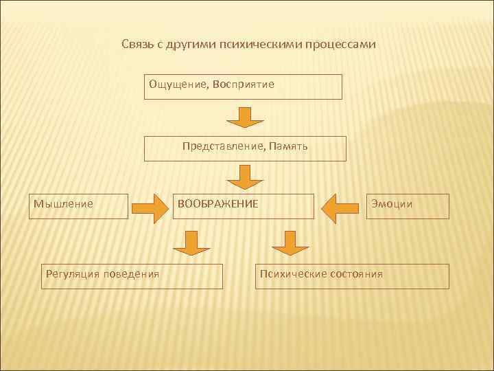 Заполните схемы восприятие объективное память представление память воображение