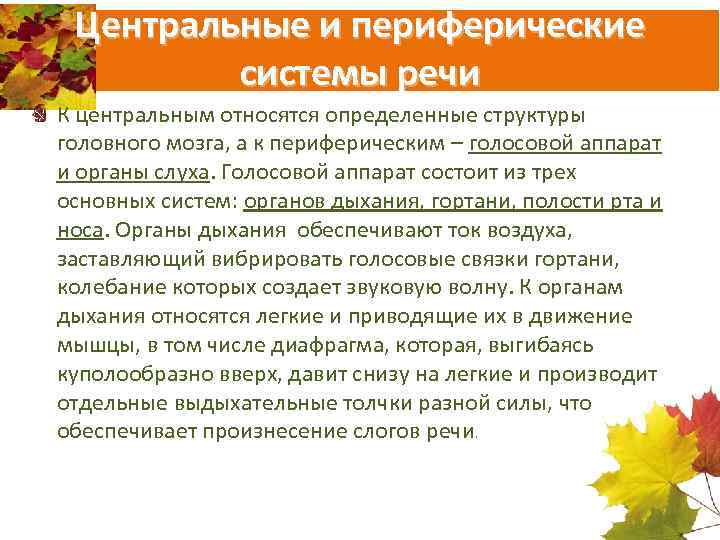 Центральные и периферические системы речи К центральным относятся определенные структуры головного мозга, а к
