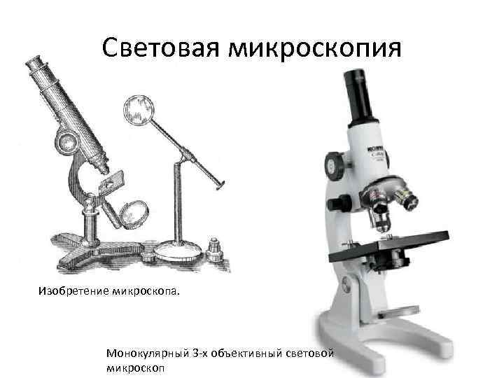 Какое увеличение дает световой микроскоп