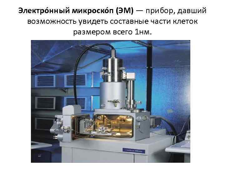 Электро нный микроско п (ЭМ) — прибор, давший возможность увидеть составные части клеток размером