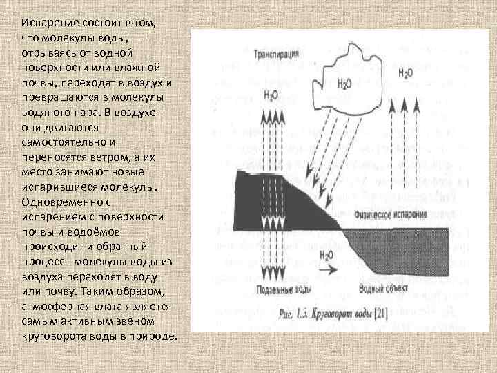 Испарение почвы