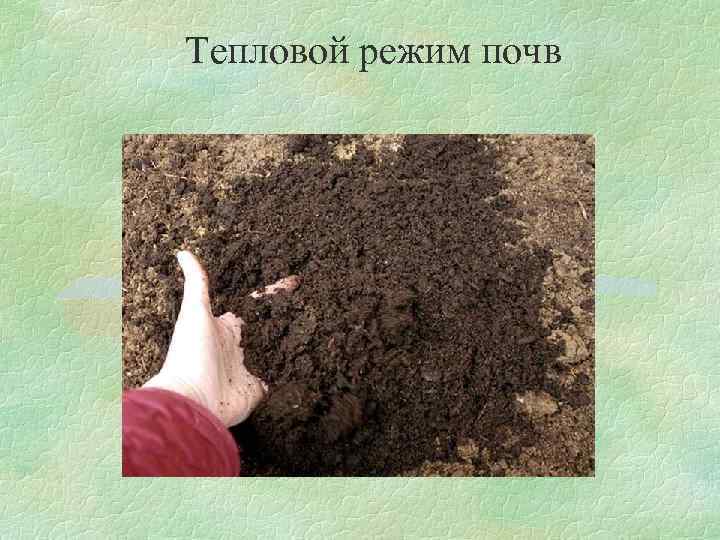 Регулирование режимов почв. Температурный режим почвы. Тепловой режим почвы. Теплопоглотительная способность почвы. Тепловой почвенный режим.