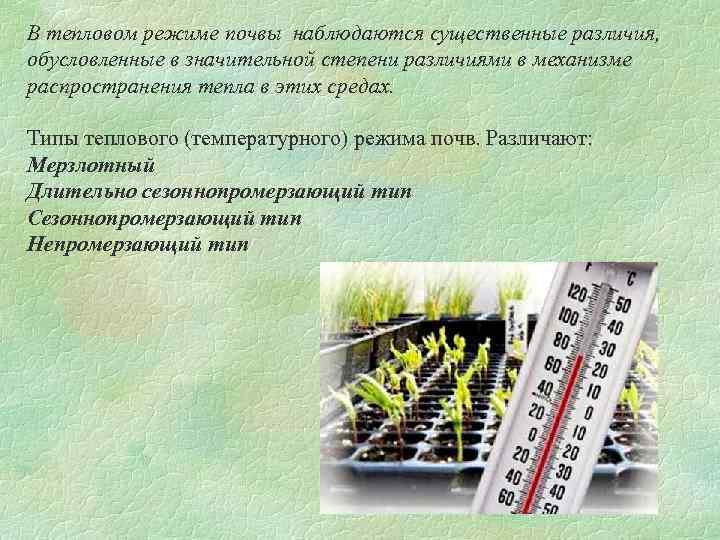 Оптимальная температура почвы. Мерзлотный тепловой режим почв. Регулирование теплового режима почвы. Тепловой режим почвы и его регулирование. Типы теплового режима почв.