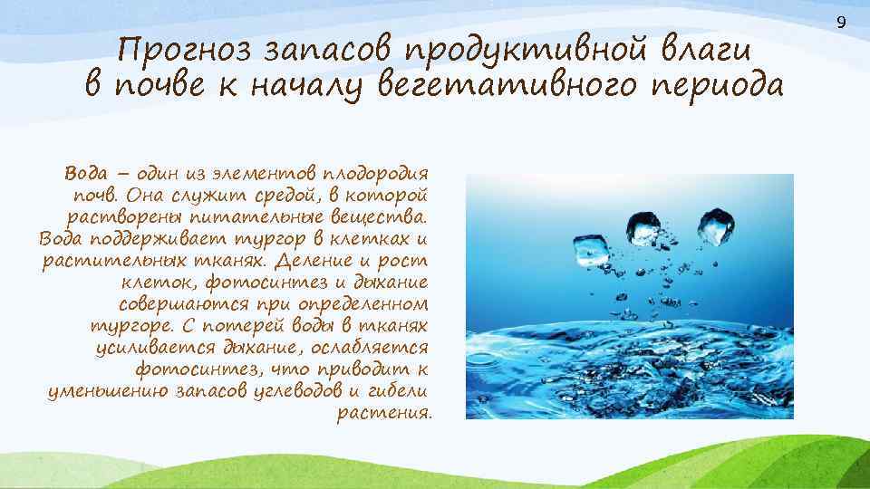 Прогноз запасов продуктивной влаги в почве к началу вегетативного периода Вода – один из