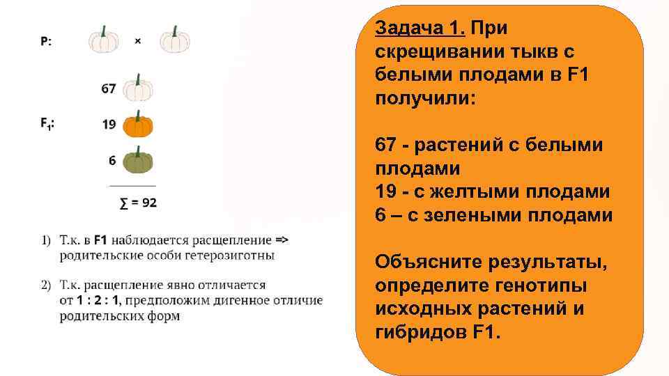 Задача 1. При скрещивании тыкв с белыми плодами в F 1 получили: 67 -