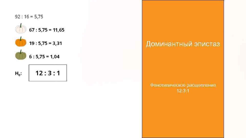 Доминантный эпистаз Фенотипическое расщепление 12: 3: 1 