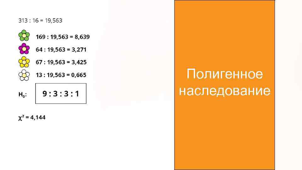 Полигенное наследование 