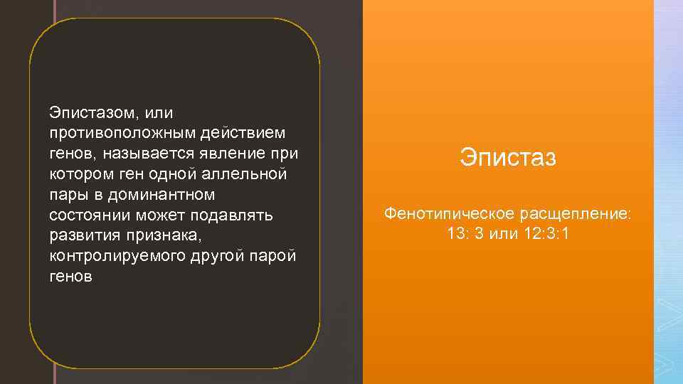 Эпистазом, или противоположным действием генов, называется явление при котором ген одной аллельной пары в